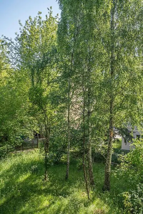 Rozana, Stary Mokotow Apartment Warsaw
